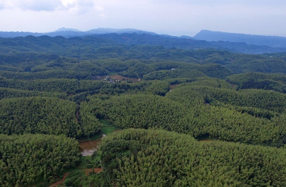 共69公里;創建省級竹林小鎮3個,省級竹林人家3家,力爭將福寶森林公園