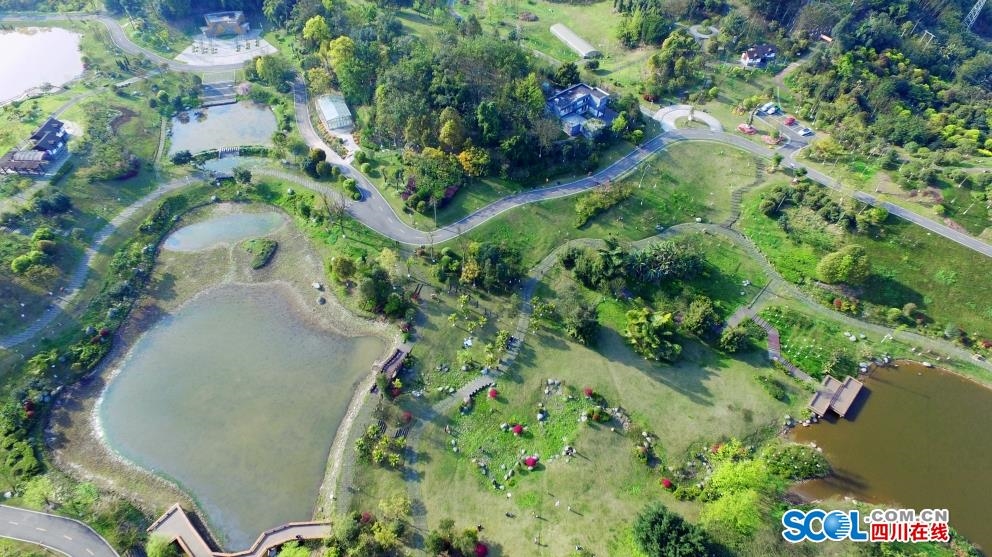 泸州植物园图片图片